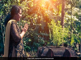 Tulsi Niyam: मान्यतानुसार इस दिन नहीं चढ़ाया जाता तुलसी पर जल, घर में नहीं आती खुशहाली Tulsi Niyam: मान्यतानुसार इस दिन नहीं चढ़ाया जाता तुलसी पर जल, घर में नहीं आती खुशहाली