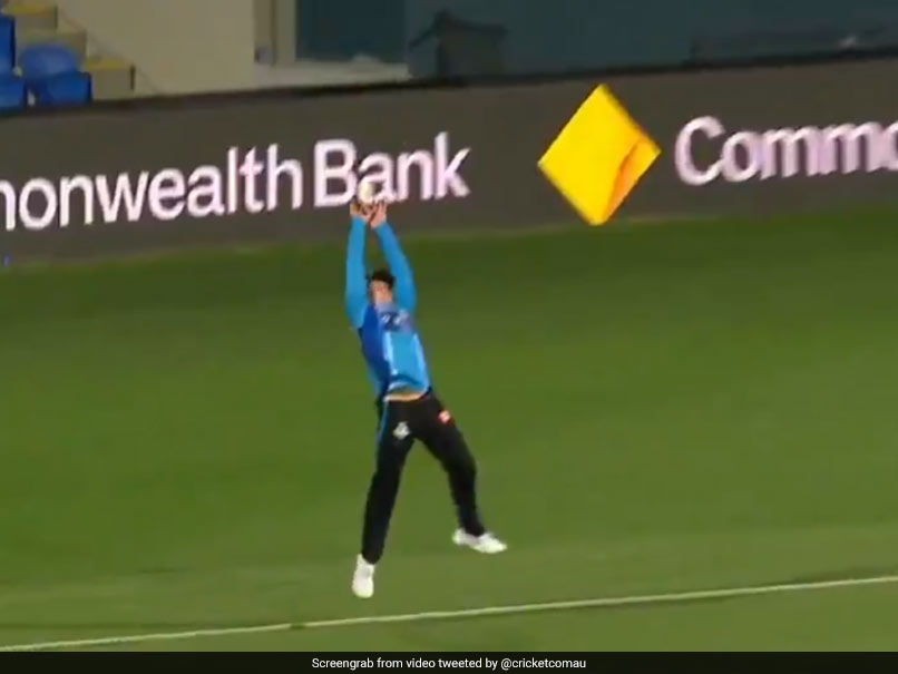 Watch: Adelaide Strikers' Bridget Patterson Takes Jaw-Dropping Catch During WBBL Game