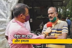 गुड मॉर्निंग इंडियाः मुंबई की आरे कॉलोनी में तेंदुए के हमले में युवक घायल, एक महीने में सातवां हमला गुड मॉर्निंग इंडियाः मुंबई की आरे कॉलोनी में तेंदुए के हमले में युवक घायल, एक महीने में सातवां हमला