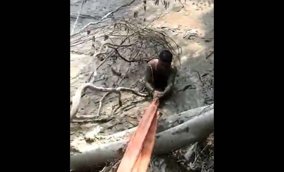 यमुना के दलदल में फंसे एक शख्स की पुलिसकर्मी की सूझबूझ से जान बची, देखें वीडियो