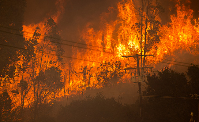 California's Alisal Fire Burns More Than 13,000 Acres, Prompts Evacuations