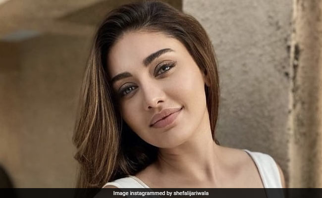 शेफाली जरीवाला ने बताया आखिर क्यों 'कांटा लगा' के बाद नहीं किया ज्यादा काम, बोलीं- मुझे दौरे पड़ने लगे