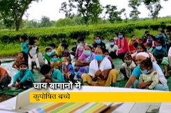 असम के चाय बागानों में कुपोषित बच्चों की बड़ी तादाद, बहुत सारे बच्चे पोषण केंद्र भेजे गए असम के चाय बागानों में कुपोषित बच्चों की बड़ी तादाद, बहुत सारे बच्चे पोषण केंद्र भेजे गए