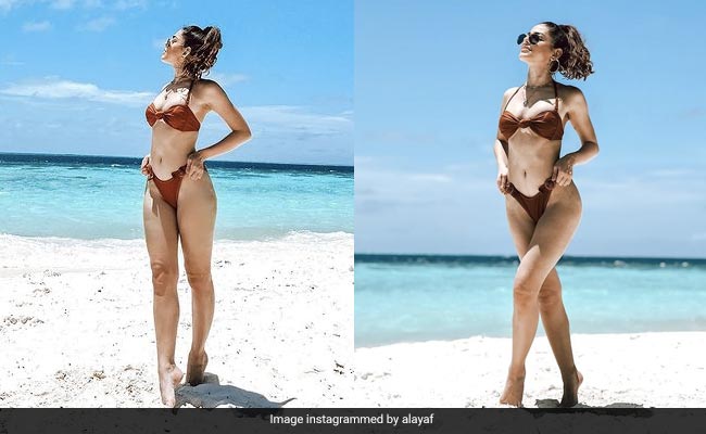 Alaya Furniturwalla Is The Chicest "Beach Person" In A Brown Bikini