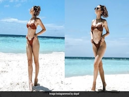 Alaya Furniturwalla Is The Chicest "Beach Person" In A Brown Bikini Alaya Furniturwalla Is The Chicest "Beach Person" In A Brown Bikini
