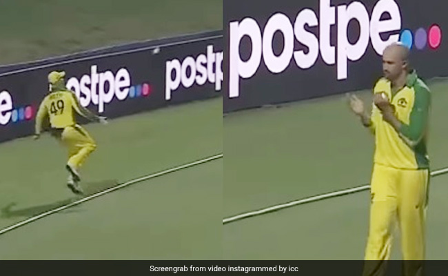 Steve Smith ने हवाई छलांग लगाकर नामुमकिन कैच को बना दिया आसान, ICC ने भी किया रिएक्ट, देखें Video