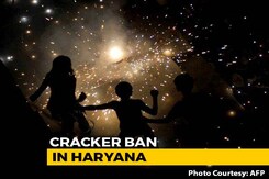 Haryana Bans Crackers In 14 Districts Near Delhi Days Before Diwali Haryana Bans Crackers In 14 Districts Near Delhi Days Before Diwali