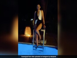 "Water Baby" Rakul Preet Singh Just Wants To Chill By The Pool. See Her Post "Water Baby" Rakul Preet Singh Just Wants To Chill By The Pool. See Her Post
