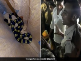 जहरीले सांप का रेस्क्यू करने वाले Forest Guard ने गांव वालों से कही दिल को छू लेने वाली बात, अब Video हो रहा वायरल जहरीले सांप का रेस्क्यू करने वाले Forest Guard ने गांव वालों से कही दिल को छू लेने वाली बात, अब Video हो रहा वायरल