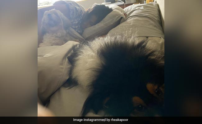 Here's What Rhea Kapoor Did After Returning From Her Vacation