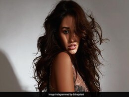 Disha Patani Photoshoot: दिशा पाटनी ने शेयर किया ग्लैमरस फोटोशूट, फैन्स बोले- ड्रीम गर्ल Disha Patani Photoshoot: दिशा पाटनी ने शेयर किया ग्लैमरस फोटोशूट, फैन्स बोले- ड्रीम गर्ल