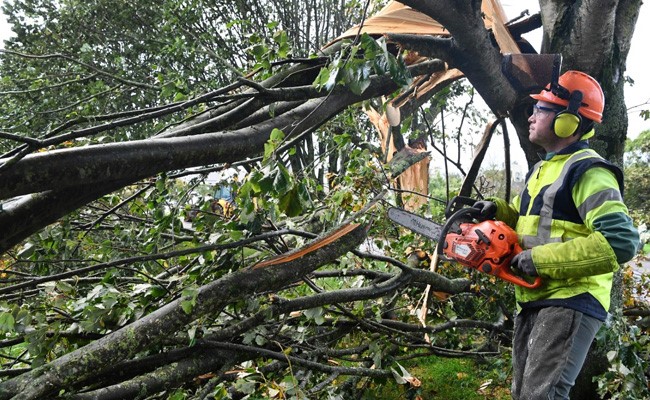 Over 250,000 Homes Without Electricity As Powerful Storm Batters France