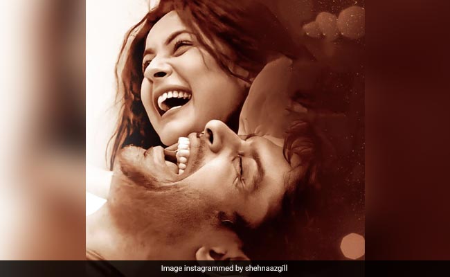 "<i>Tu Mera Hai</i>": Shehnaaz Gill's First Post After Sidharth Shukla's Death