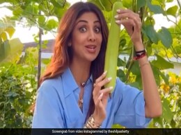 शिल्पा शेट्टी खाने के लिए बड़े ही प्यार से तोड़ रही थीं लौकी, फिर जो हुआ देखकर छूट जाएगी आपकी हंसी...देखें Video शिल्पा शेट्टी खाने के लिए बड़े ही प्यार से तोड़ रही थीं लौकी, फिर जो हुआ देखकर छूट जाएगी आपकी हंसी...देखें Video