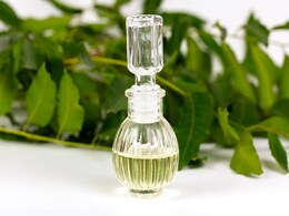 Neem Oil Benefits: लंबे घने काले बालों के लिए नीम का तेल है रामबाण इलाज, घर में आसानी से बनाएं Neem Oil Benefits: लंबे घने काले बालों के लिए नीम का तेल है रामबाण इलाज, घर में आसानी से बनाएं