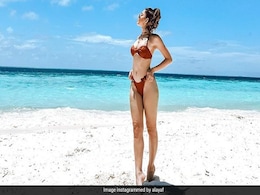 टू-पीस में मालदीव से अलाया एफ ने शेयर कीं ग्लैमरस Beach Photos, कार्तिक आर्यन ने यूं दिया रिएक्शन टू-पीस में मालदीव से अलाया एफ ने शेयर कीं ग्लैमरस Beach Photos, कार्तिक आर्यन ने यूं दिया रिएक्शन