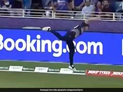 Watch: Neesham's Acrobatic Effort Near Boundary Rope Denies Hardik A Six
