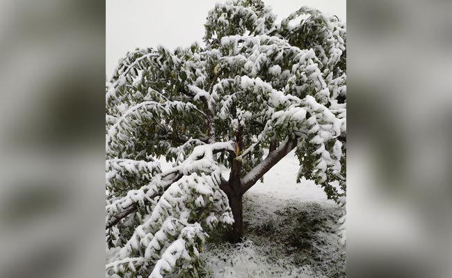 कश्मीर घाटी के अधिकतर हिस्सों में तापमान शून्य से नीचे, पहलगाम में पारा माइनस तीन डिग्री पर