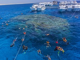 Climate Change Threatens Egypt's Red Sea As Corals Fade Due To Warm Oceans Climate Change Threatens Egypt's Red Sea As Corals Fade Due To Warm Oceans