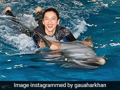 गौहर खान डॉल्फिन के साथ मस्ती करती आईं नजर फैंस बोले- ऐसी राइड कौन करता है...