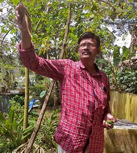 'Vaccinated But...': Delay In Covaxin Approval By WHO Hits Indian Travellers