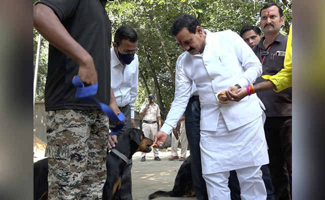 मध्य प्रदेश : डॉग स्क्वॉड टीम में विदेशी नस्ल के साथ-साथ देशी नस्ल के डॉग्स भी किए गए शामिल