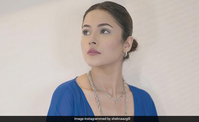"I'd Like To Tell Myself <i>Honsla Rakh</i>": Shehnaaz Gill Says In Viral Video