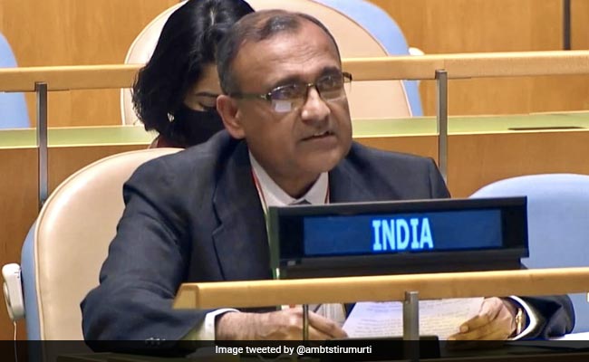 "Don't Patronize Us Ambassador": India's UN Envoy On Tweet Over Ukraine
