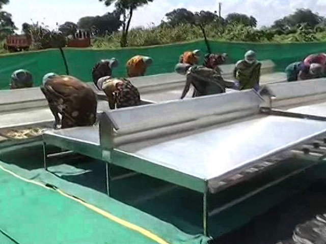 Solar Drying Project Turning Women Into Entrepreneurs