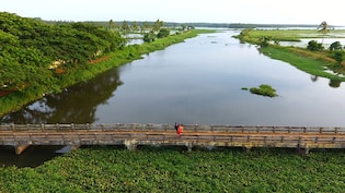 Couple, Toddler Found Dead In Kerala River, Search On For Missing Daughter