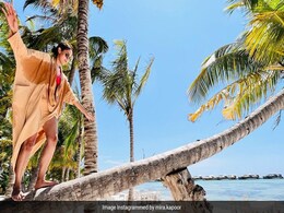 The Maldives Effect: "Be Cool" Or "Just Chill"? Mira Rajput Chose... The Maldives Effect: "Be Cool" Or "Just Chill"? Mira Rajput Chose...