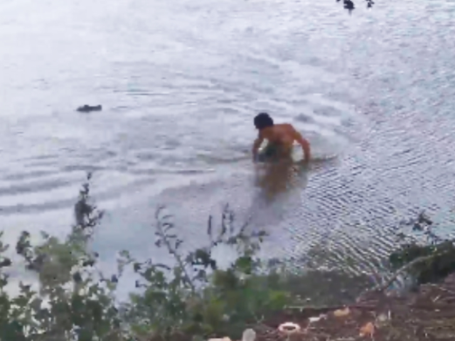 Alligator Chases Swimmer, Bites His Arm In Horrifying Footage