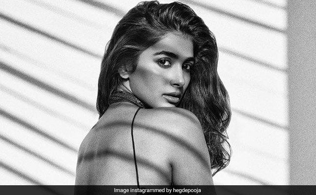 Pooja Hegde's "Dream" Is To Co-Star With A Bachchan. Guess Which Bachchan