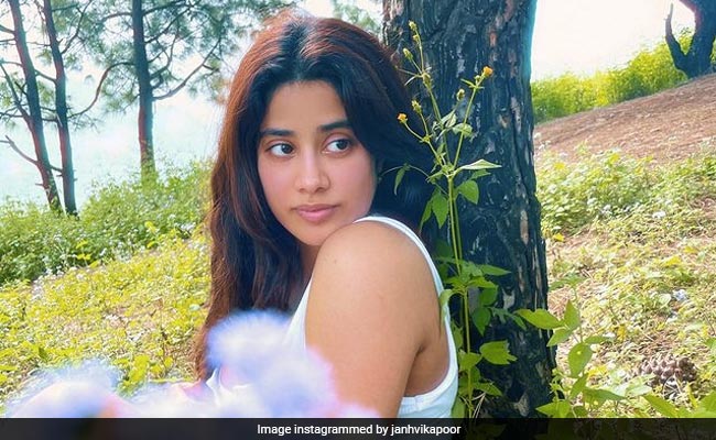 In Pics: Janhvi Kapoor's Well-Spent Day Close To Nature