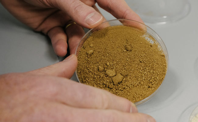 Finland Scientists Create Lab-Grown Coffee With No "Environmental Pitfalls"