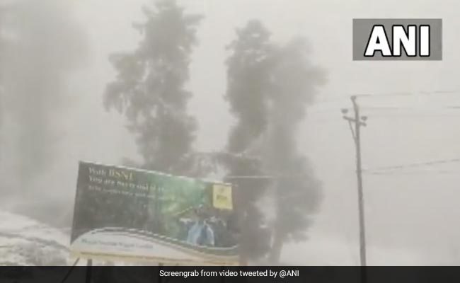 Fresh Snowfall In Parts Of Kashmir, Ladakh; Rainfall In Plains. See Pics
