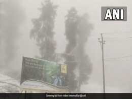 Fresh Snowfall In Parts Of Kashmir, Ladakh; Rainfall In Plains. See Pics Fresh Snowfall In Parts Of Kashmir, Ladakh; Rainfall In Plains. See Pics