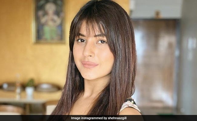 Shehnaaz Gill, "A Thorough Professional", Likely To Return To Work This Week. Details Here