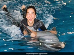 गौहर खान डॉल्फिन के साथ मस्ती करती आईं नजर फैंस बोले- ऐसी राइड कौन करता है... गौहर खान डॉल्फिन के साथ मस्ती करती आईं नजर फैंस बोले- ऐसी राइड कौन करता है...
