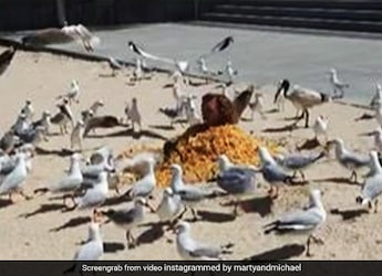 Man Buries Himself Under Mountain Of Chips, Calls It 'Science Experiment' Man Buries Himself Under Mountain Of Chips, Calls It 'Science Experiment'