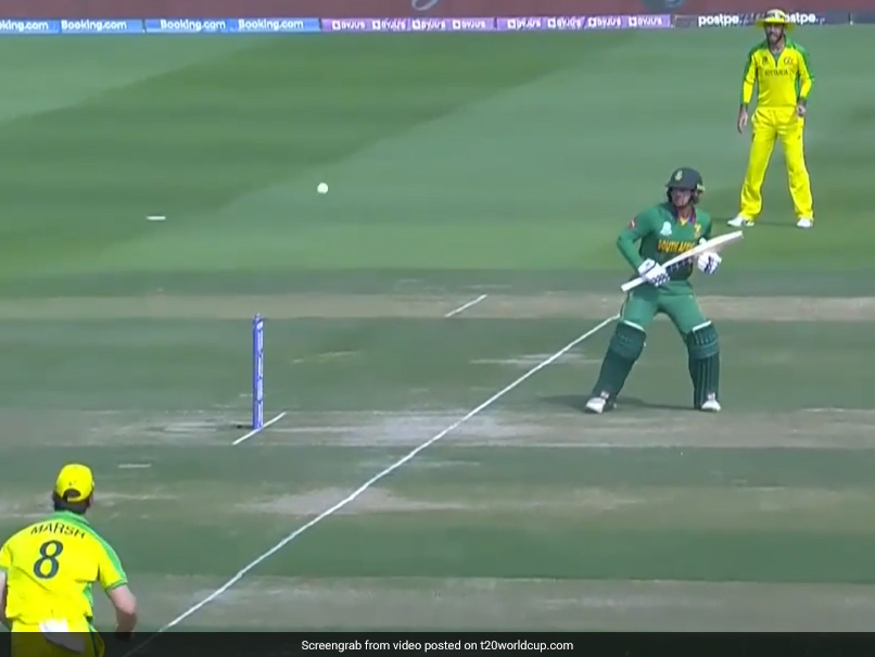 T20 World Cup 2021, AUS vs SA: Quinton De Kock Gets Out In "Strangest Dismissal Of Tournament". Watch