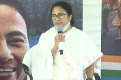 "We Discussed...": Mamata Banerjee On Talks With Ex BJP Ally In Goa "We Discussed...": Mamata Banerjee On Talks With Ex BJP Ally In Goa
