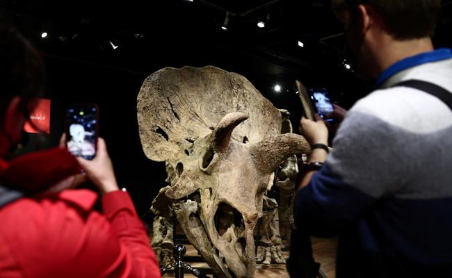 "Big John", World's Biggest Triceratops, Sells For 6.65 Million Euros