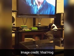 मालिक टीवी देख रहा था तभी कुत्ते ने बंद कर दिया, लोगों ने कहा- बहुत केयर करता है!