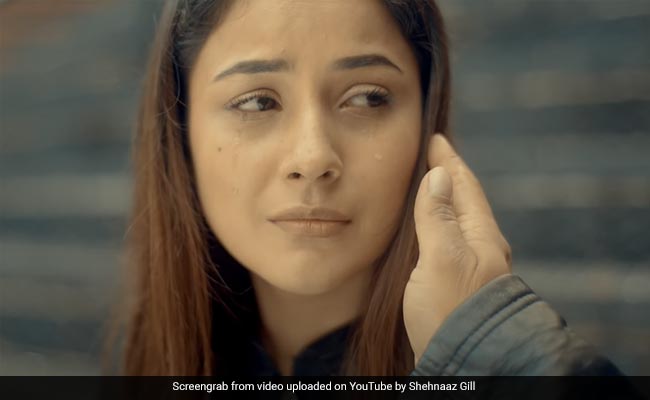 <i>Tu Yaheen Hai</i>: Shehnaaz Gill Gets Teary-Eyed Remembering Sidharth Shukla