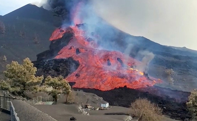Drones Drop Food, Water For Dogs Stranded Due To Volcano In Spain