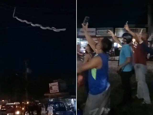 Watch: Huge Snake Falls From Street Wires As People Scream