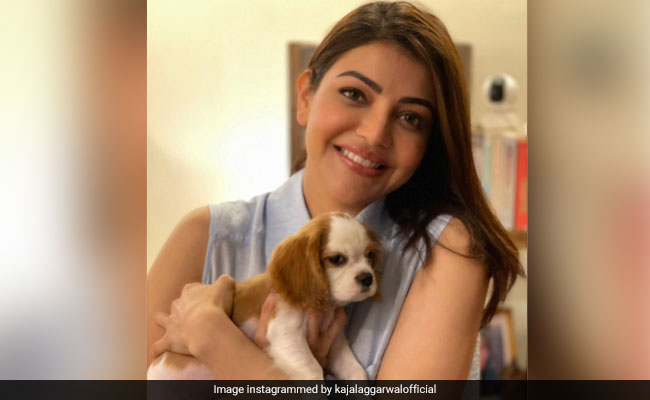 Kajal Aggarwal, Who Had Cynophobia, And Gautam Kitchlu Introduce New Family Member - Pet Pooch Mia