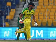 Main Thing For Me Was To Stay Calm: Stoinis After Win vs SA In T20 WC