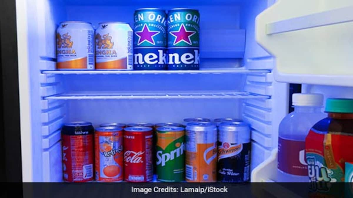 Planning To Buy A Mini Fridge? Herere 5 Amazing Options For You NDTV Food